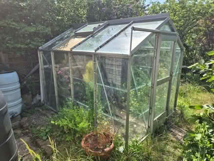 Photo of free Greenhouse (Hollingdean BN1) #1