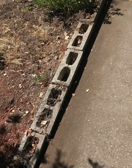 Photo of free Cinder blocks-95014 (Stelling Rd/Waterford Dr area) #1