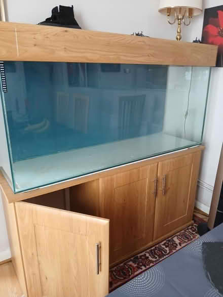 Photo of free 5ft fish tank and stand (Gillingham ME7) #3