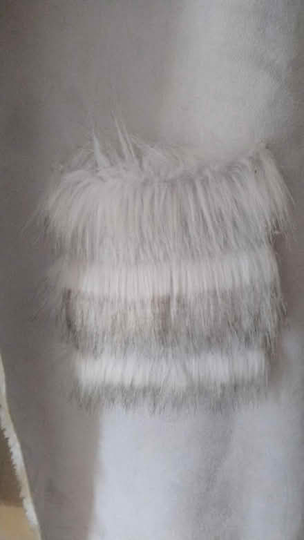 Photo of free Fur coat / body warmer (Chorley centre PR7) #3