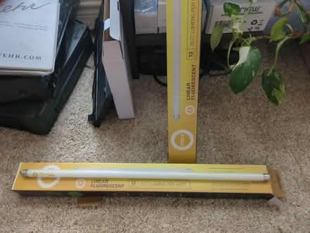 Photo of free Miniature fluorescent bulbs (Bethany and Allen Heights) #1