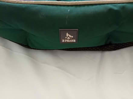 Photo of free Dog beds (Barnard's Green WR14) #2