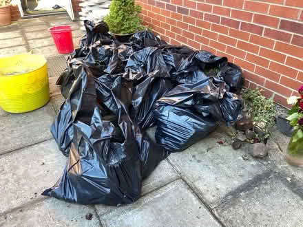 Photo of free top soil rim back garden (L7) #2