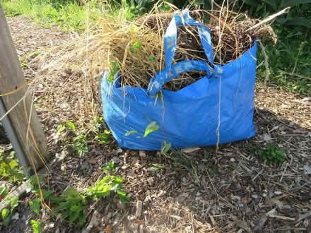 Photo of Blue Ikea Bags (Dublin 12) #1