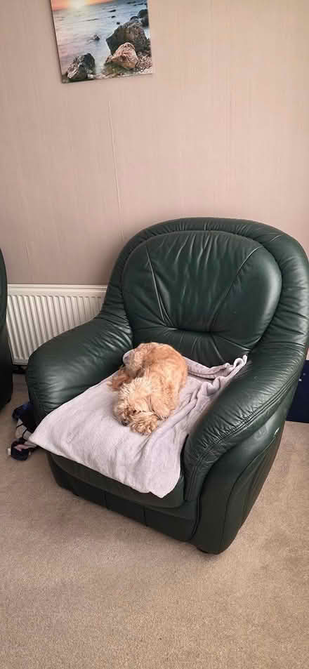 Photo of free furniture (Kirkstall LS6) #2