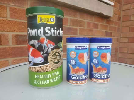 Photo of free Fish food (Woodloes Park CV34) #1