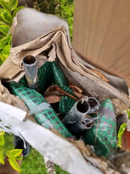 Photo of free Plastic green house (Scotches DE56) #1