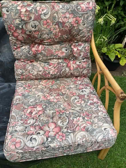 Photo of free 4 wicker sofa cushions (Presteigne LD8) #1