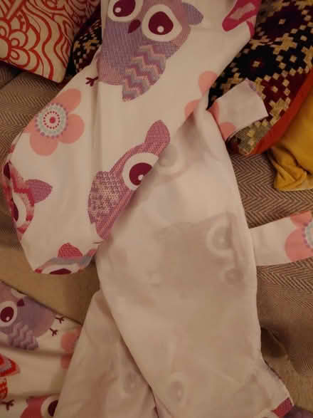 Photo of free Pair of Owl Curtains (Tonbridge) #2