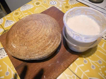 Photo of free Sour dough starter (The Bog SY5) #1