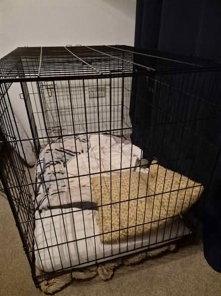 Photo of free large black 2 door dog crate (Earlham NR5) #2