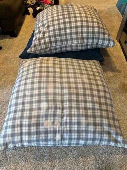 Photo of free 3 huge floor pillows (Gray Summit) #1
