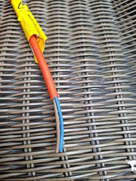 Photo of free Cable (Westquarter, Falkirk FK2) #3
