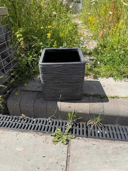 Photo of free Plastic Large Outdoor Pot (Upminster Bridge RM14) #1
