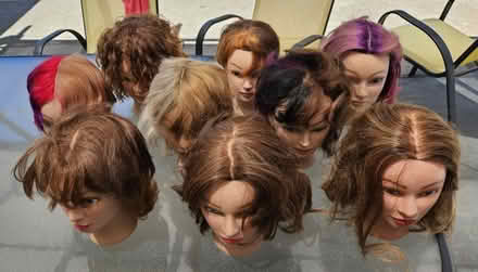 Photo of free Set of Used Mannequin Heads (Saratoga, CA) #1