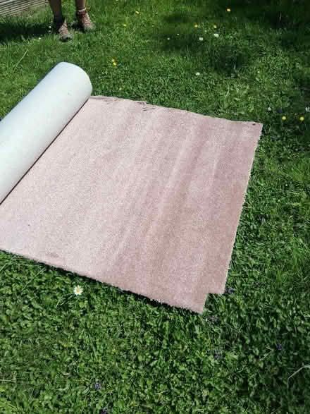 Photo of free Carpet (Swaythling SO16) #1