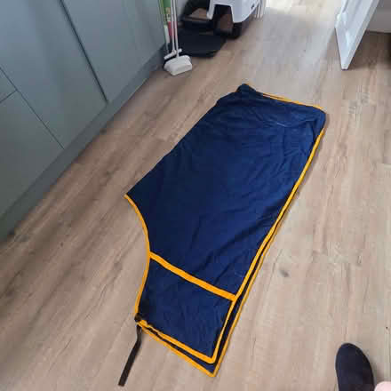 Photo of free Horse rugs (Queens Park MK40) #1