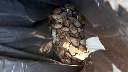 Photo of free 5 bags of mixed stones (Brixton SW9) #4