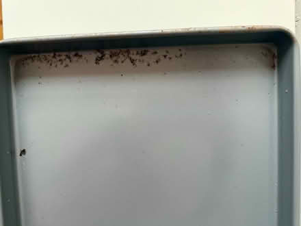 Photo of free Three large baking trays not used (Salford M30) #3