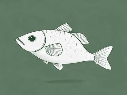 Photo of Fish decorations (Knighton LD7) #1