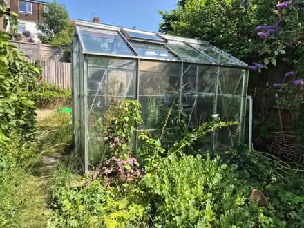 Photo of free Greenhouse (Hollingdean BN1) #3