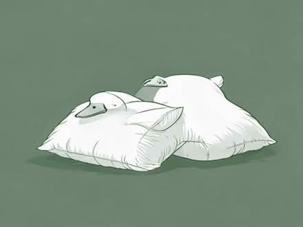 Photo of free Goose down pillows (Chells Manor SG1) #1