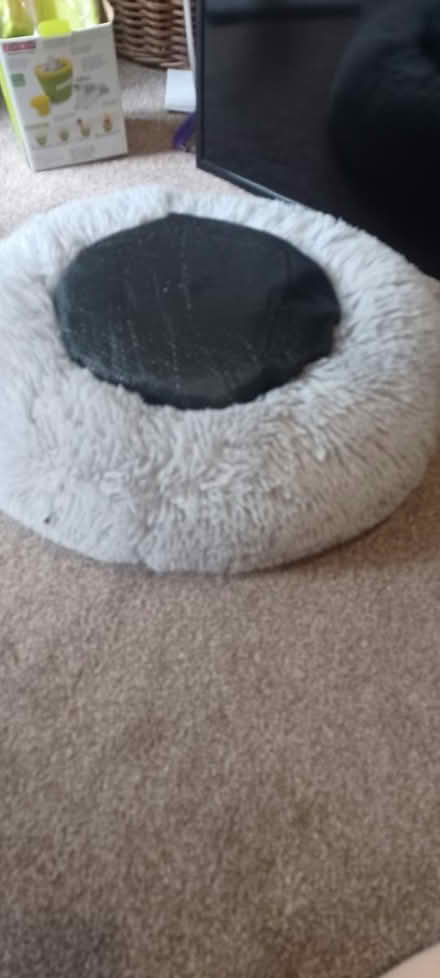 Photo of free Pet bed (M32) #2