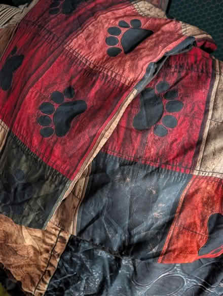 Photo of free Paw print king size duvet cover (yapton) #1