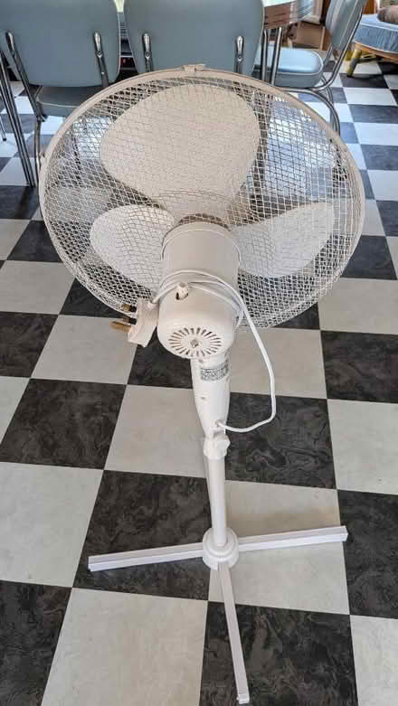 Photo of free Weedy stand fan (Hampden Park BN22) #2