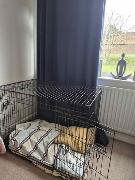 Photo of free large black 2 door dog crate (Earlham NR5) #3