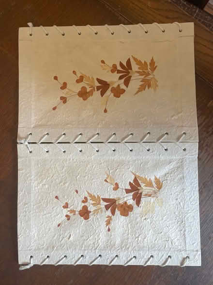 Photo of free Craft paper lampshade (Greenbank (BS5)) #3