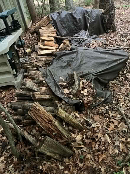 Photo of free Seasoned fire wood (Davidsonville) #2