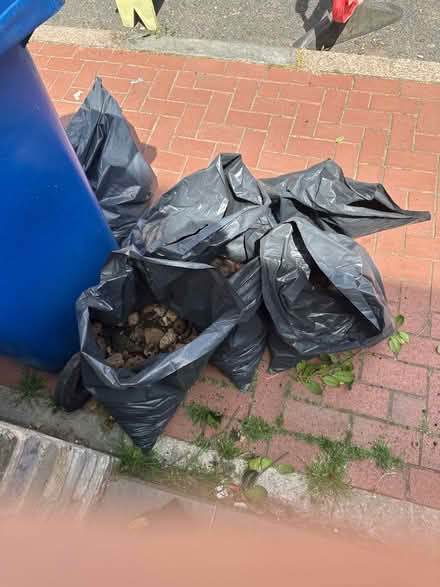 Photo of free 5 bags of mixed stones (Brixton SW9) #4