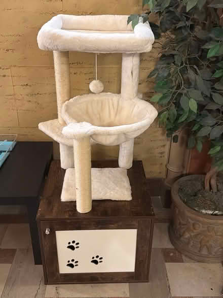 Photo of free Cat Tree (1735 van ness ave) #1