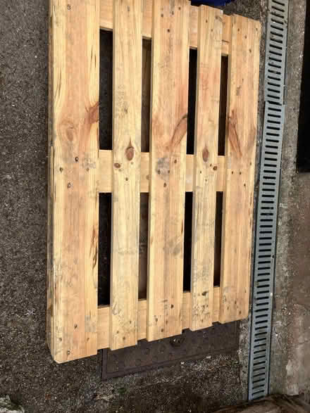 Photo of free Wooden pallet (Henleaze BS9) #1