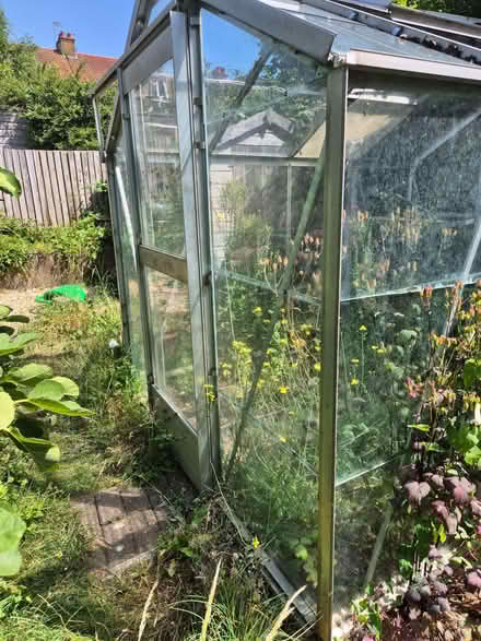 Photo of free Greenhouse (Hollingdean BN1) #2