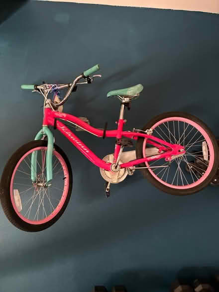 Photo of free Girls Schwinn Big Kid Bike (Great Park) #1