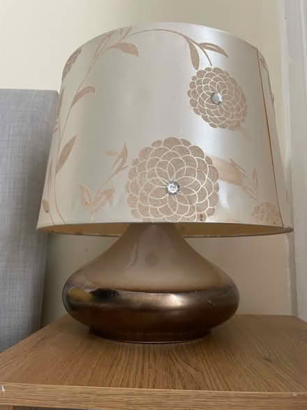 Photo of free Lamp #1 (Olive Mount L15) #1