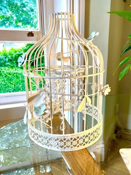 Photo of free Decorative ceiling lamp shade (Bournemouth) #1