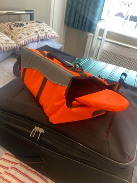 Photo of free Dog life jacket (Bexleyheath) #1