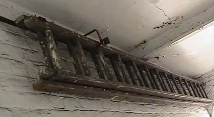 Photo of free Wooden extension ladder (Berkhamsted HP4) #1
