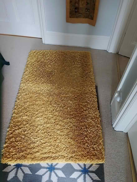 Photo of free Washable mustard rug (Okehampton Devon) #1