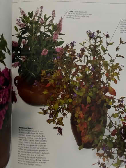 Photo of free Container Gardening Book (Westbury Wilts BA13) #2