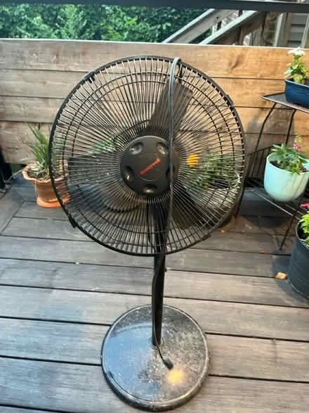 Photo of free Standing fan (Petworth/16th St Heights) #2