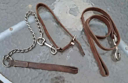 Photo of free 2 dog leads (West Malvern CP WR14) #1
