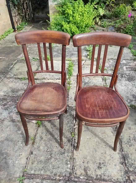 Photo of free Two old dining chairs (Buglawton CW12) #1