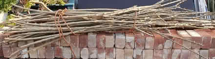 Photo of free Bundle of plant sticks (Gayton CH60) #1