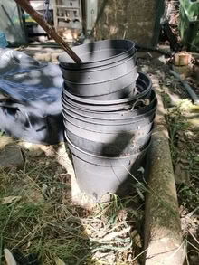 Photo of free garden pots, seed trays (Leatherhead KT22) #4