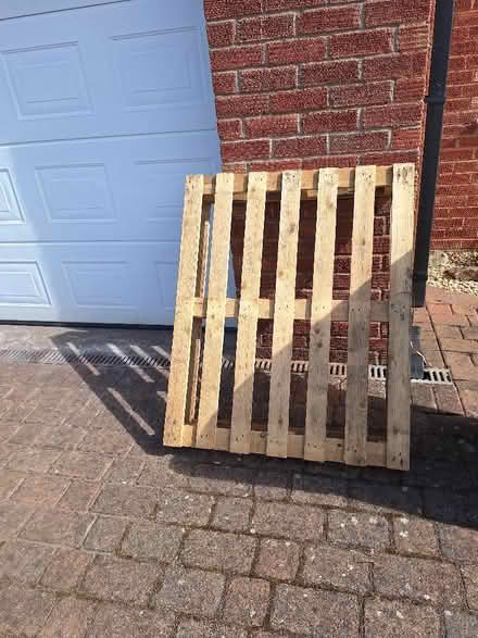Photo of free New wooden pallet (Malvern Link WR14) #1
