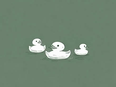 Photo of Small plastic ducks (Fearnhead WA2) #1